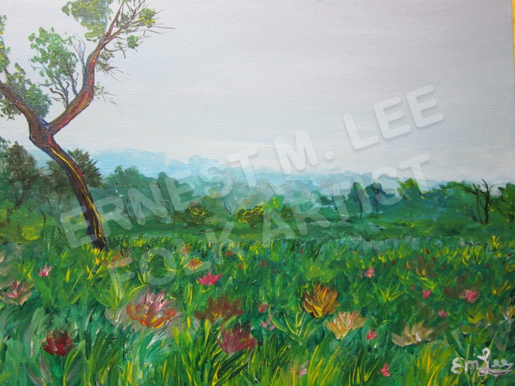 #075 - Paynes Prairie Flowers